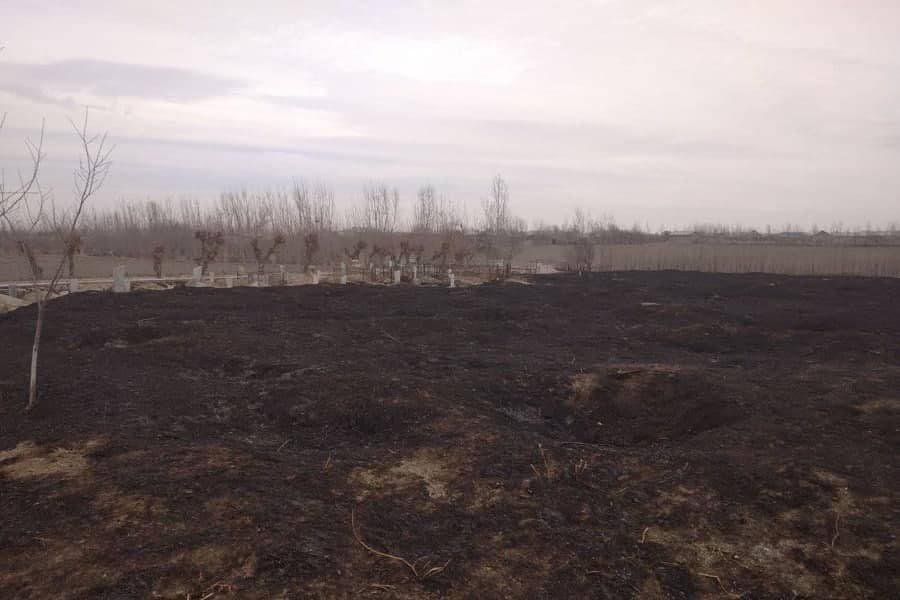 В Самаркандской области мужчина устроил пожар на кладбище и теперь заплатит штраф 