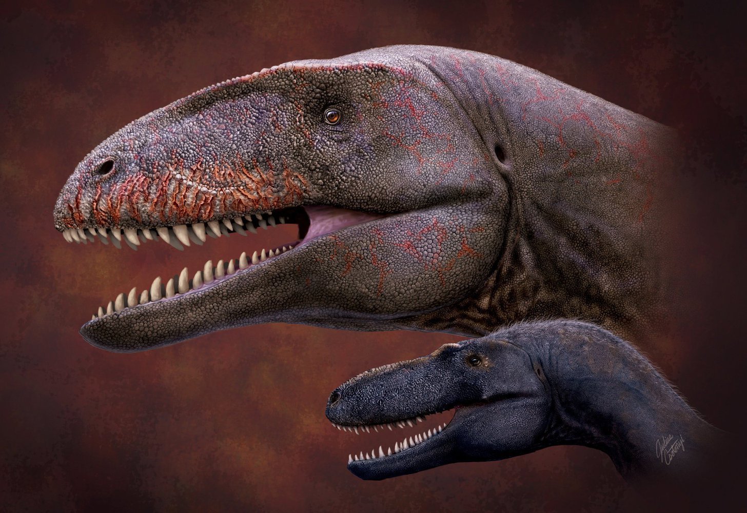 «Улугбегзавр узбекистаненсис»: японские ученые обнаружили в пустыне Кызылкум останки одного из самых могущественных динозавров
