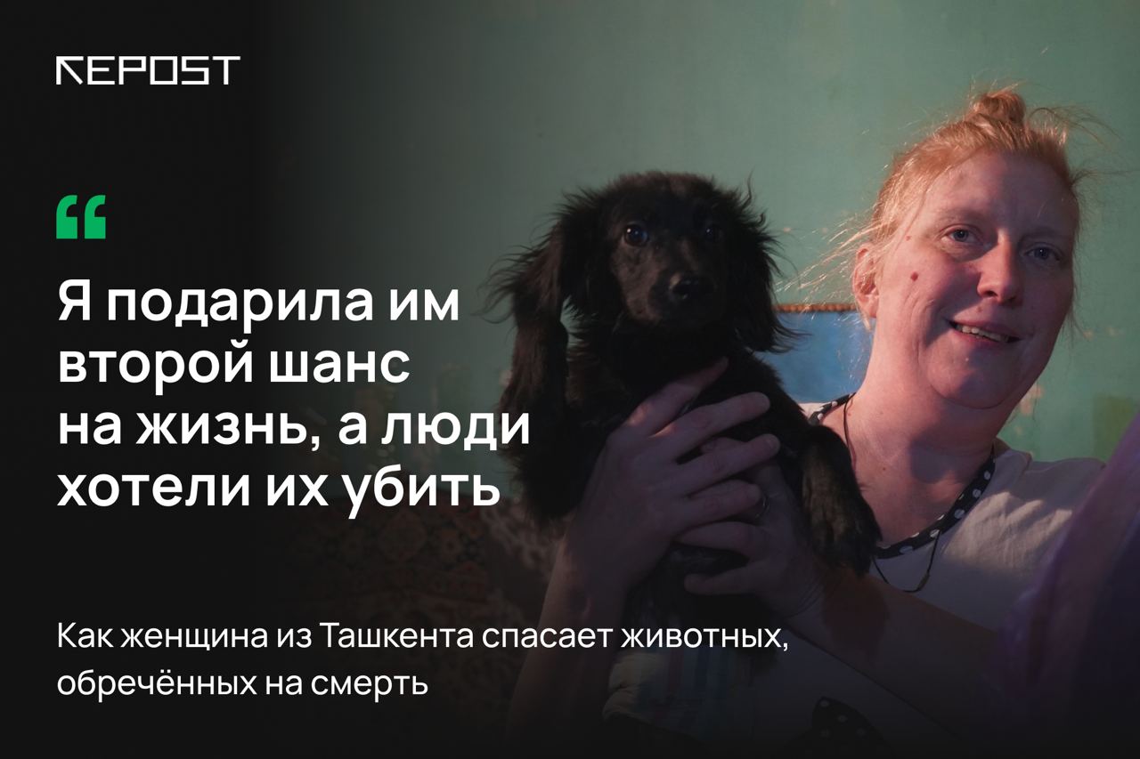 «Я подарила им второй шанс на жизнь, а люди хотели их убить». Как женщина из Ташкента спасает животных, обреченных на смерть