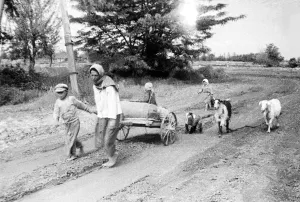 Украинская ССР. Июль 1942 г. Мать с детьми, вынужденная покинуть родное село из-за наступления немецкой армии во время Великой Отечественной войны.