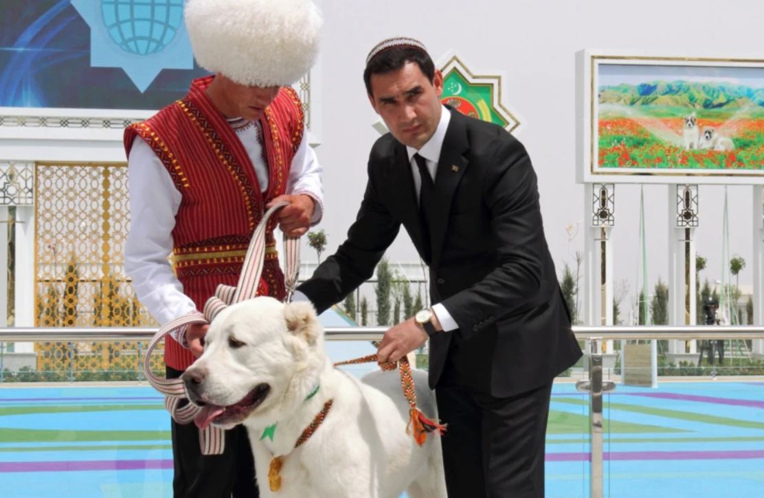 В Туркменистане ограничили вывоз алабаев