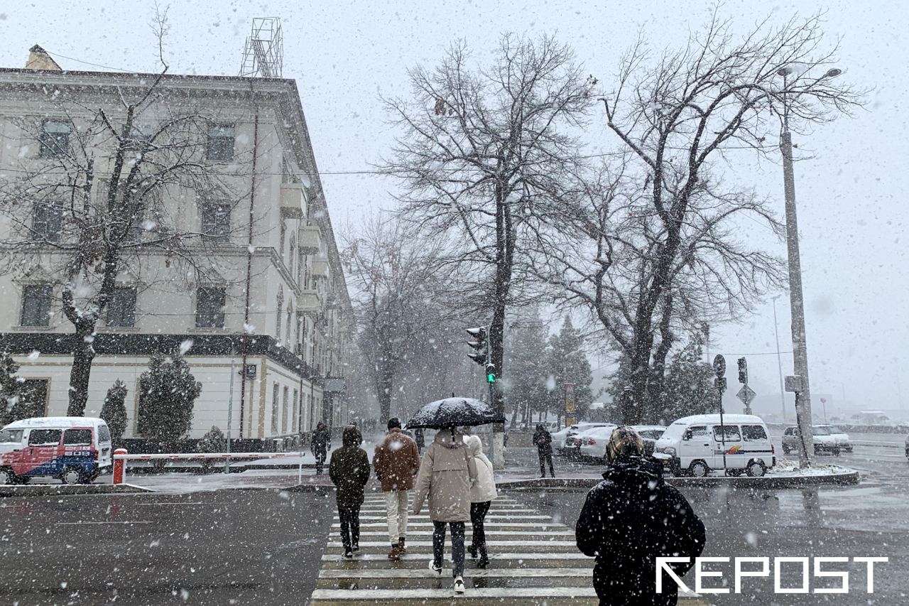 Синоптики рассказали, какая погода ждет узбекистанцев в первую рабочую неделю марта