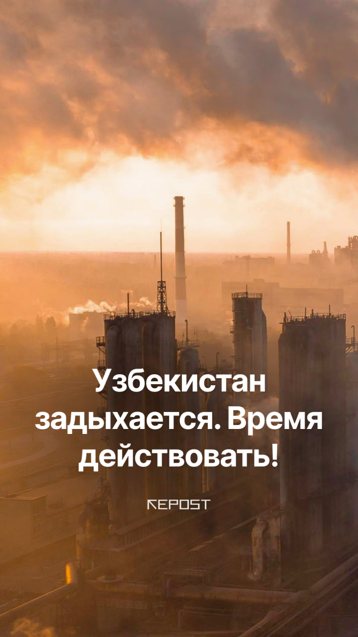 Узбекистан оказался на грани экологической катастрофы. 83% жителей Ташкента живут в условиях опасного для здоровья загрязнения воздуха. Причины — от незаконной вырубки деревьев до сжигания угля, мазута и шин. 