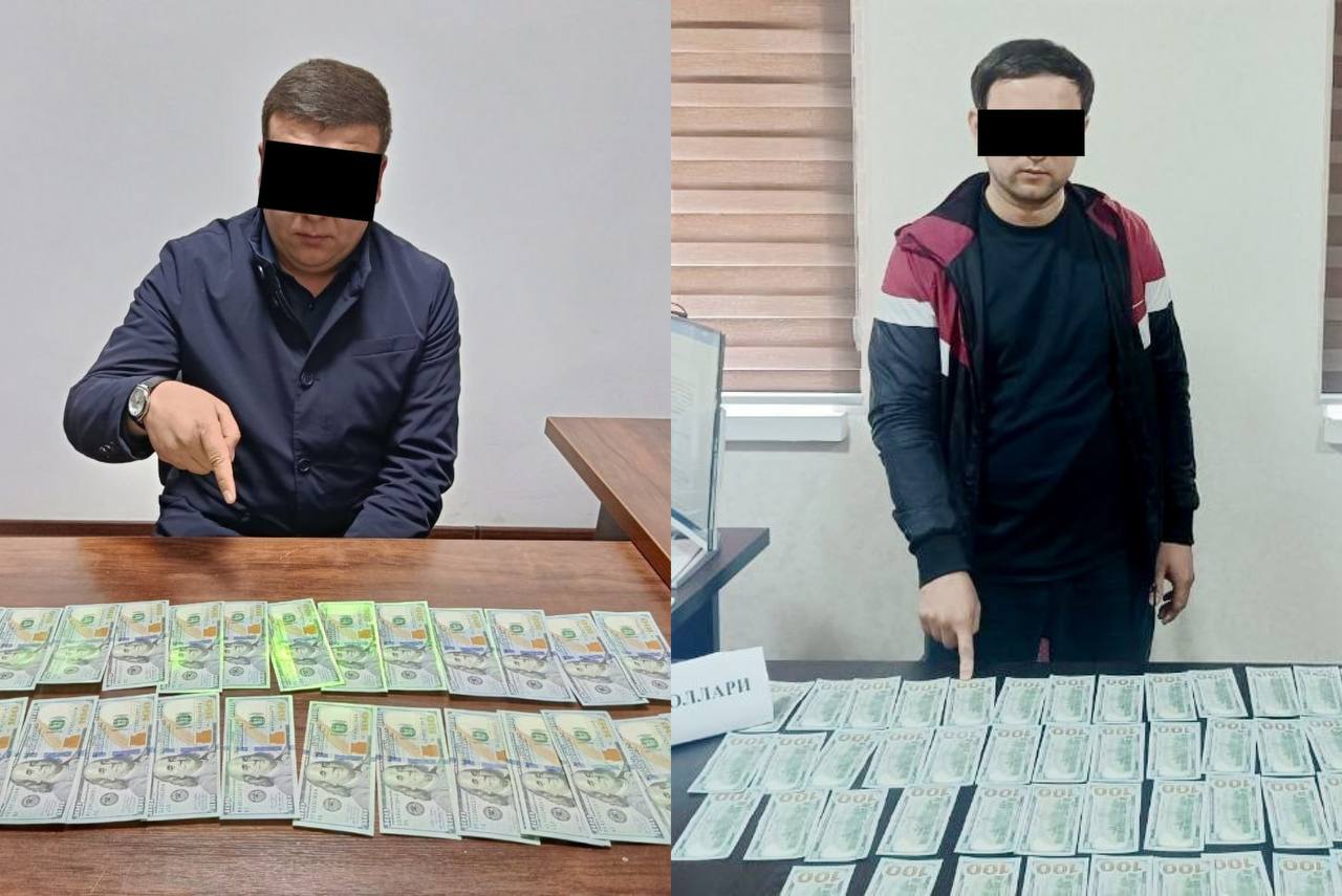 Navoiy va Qashqadaryoda fuqarolarni xorijga ishga yubormoqchi bo‘lgan shaxslar ushlandi