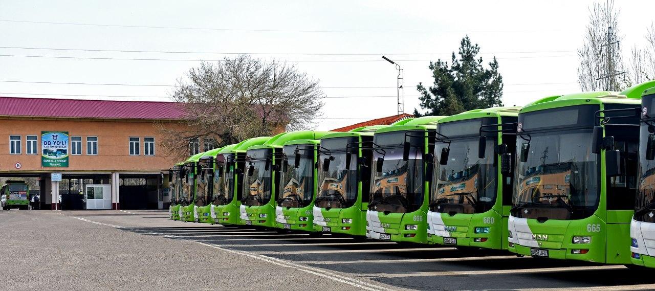 В Ташкенте запускаются скоростные автобусы