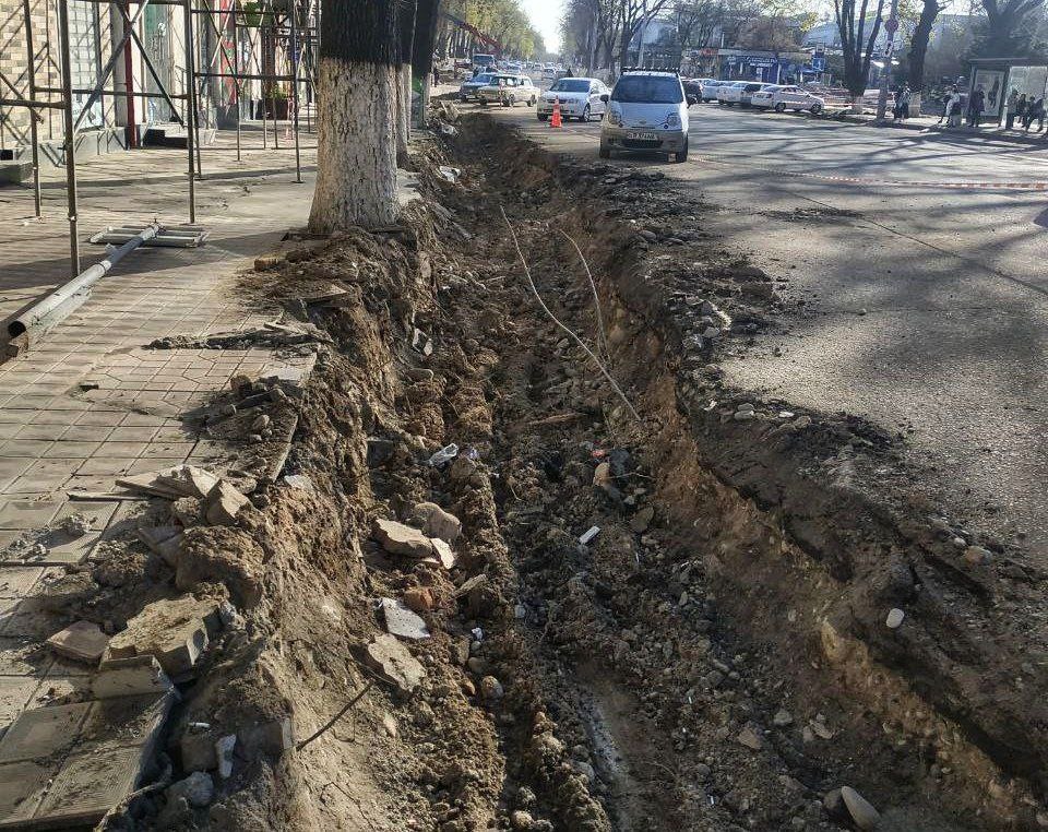 В одном из районов Ташкента выкопали корни больших деревьев — фото