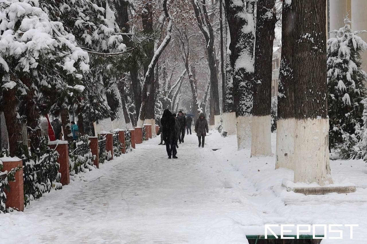 Снег - последние новости от команды Repost.uz