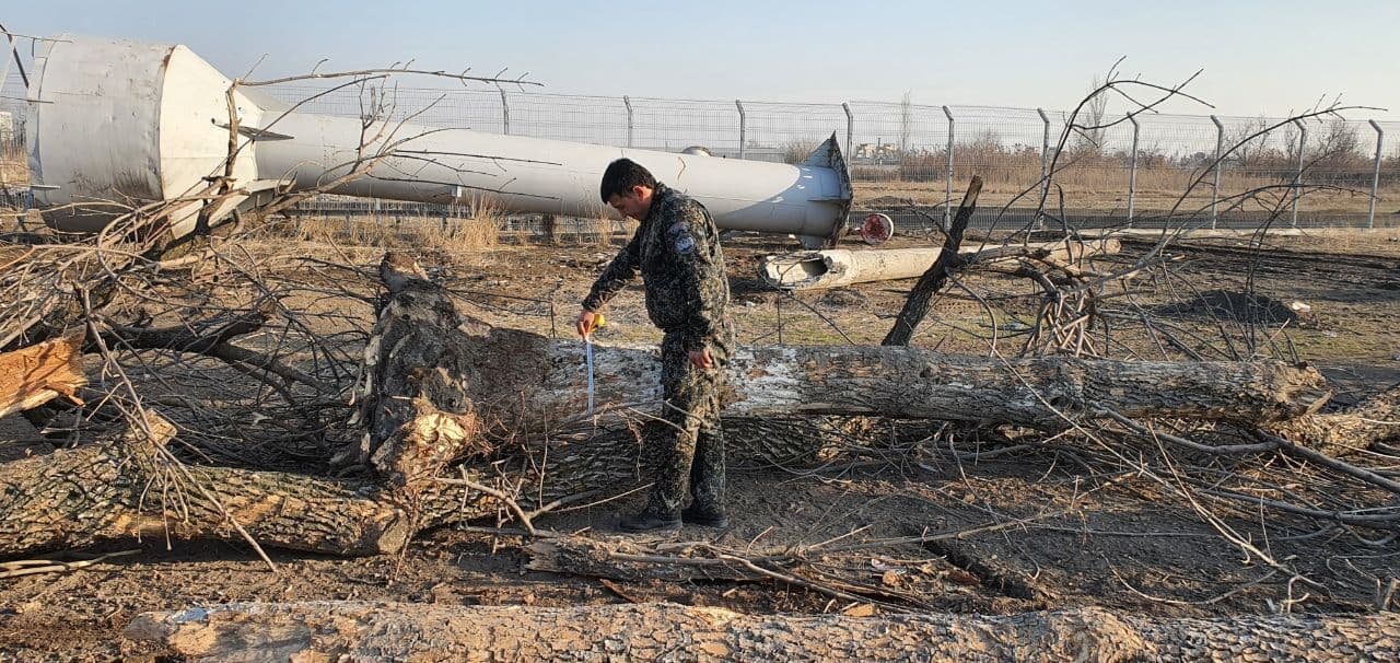 В Сергелийском районе Ташкента незаконно вырубили 15 деревьев