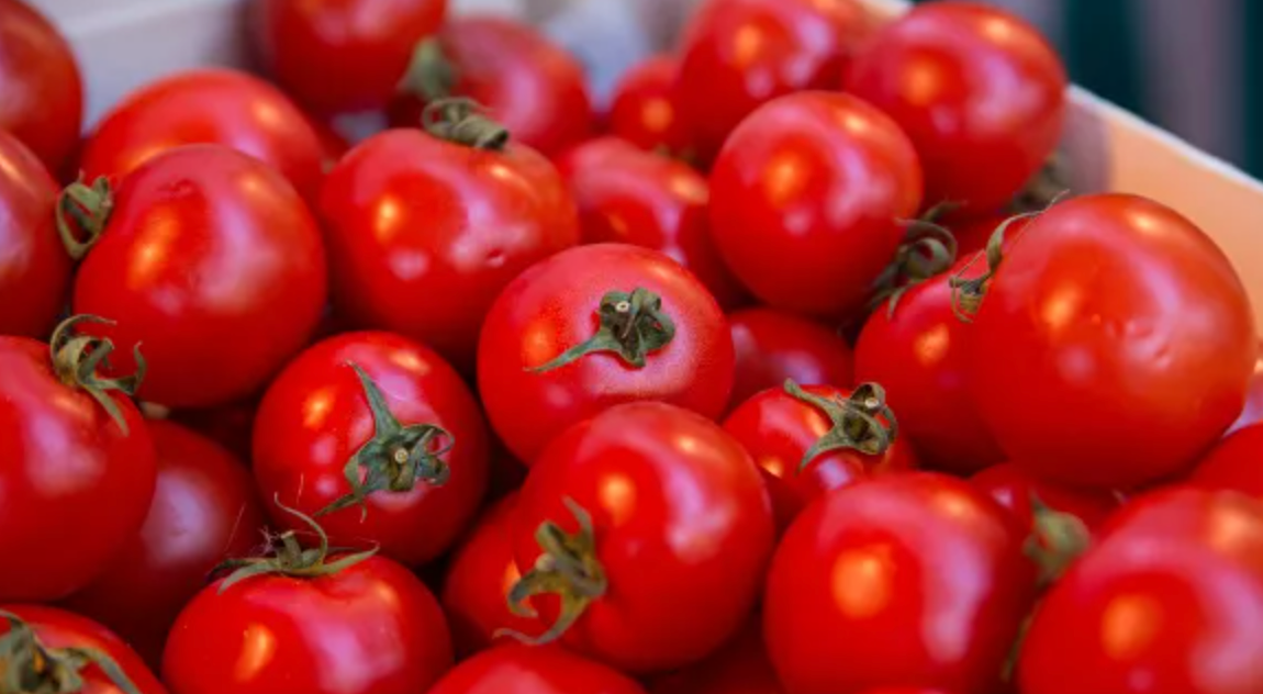 Какое свойство томатов может вас удивить — рассказываем