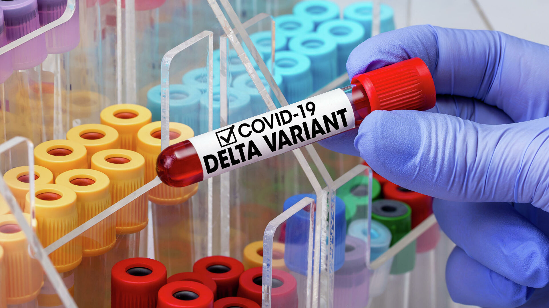 Инфекционист назвала основные симптомы «дельта»-штамма коронавируса