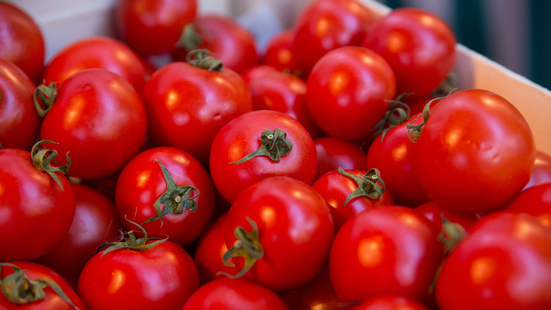 В Узбекистане взвинтили цены на помидоры
