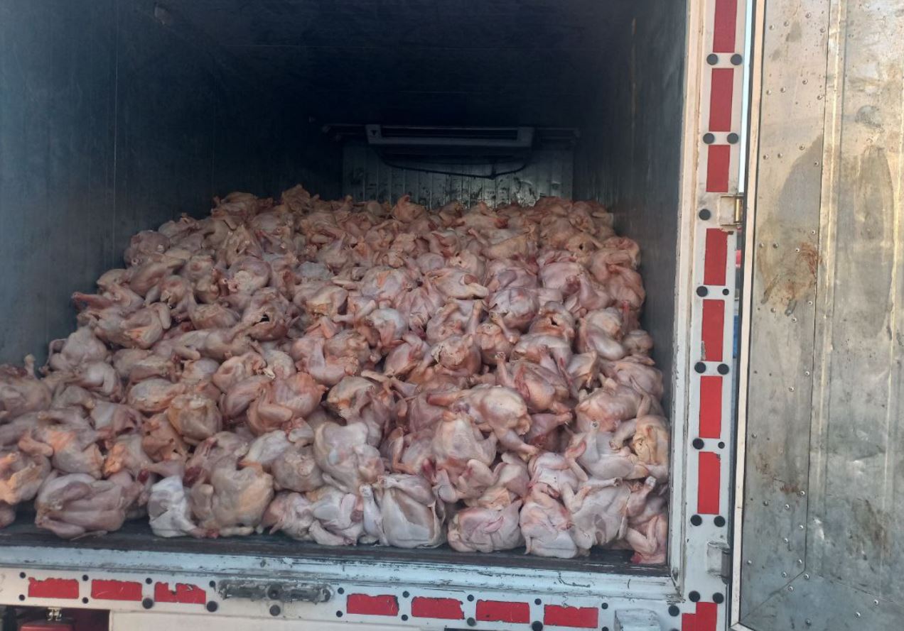 В Самарканде мужчина перевозил почти пять тонн мяса с нарушением санитарных требований