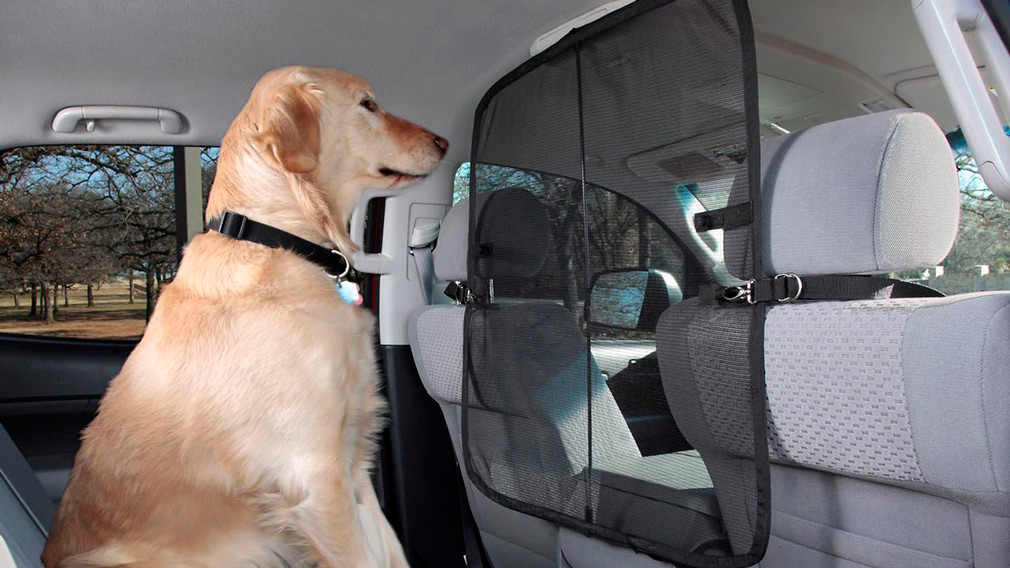 Как правильно и безопасно перевозить животных в машине