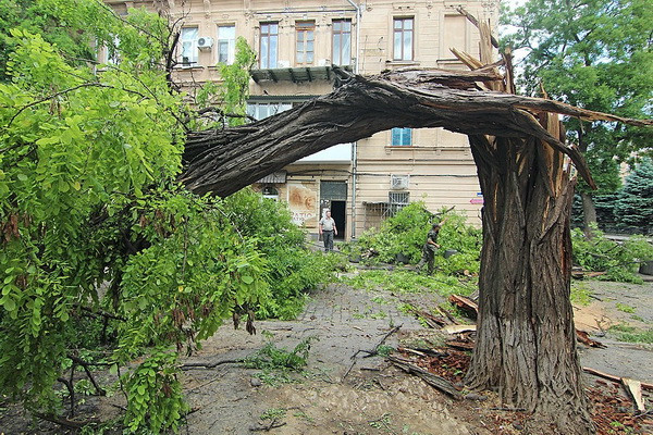 В Ташкенте ожидается ураган с дождем