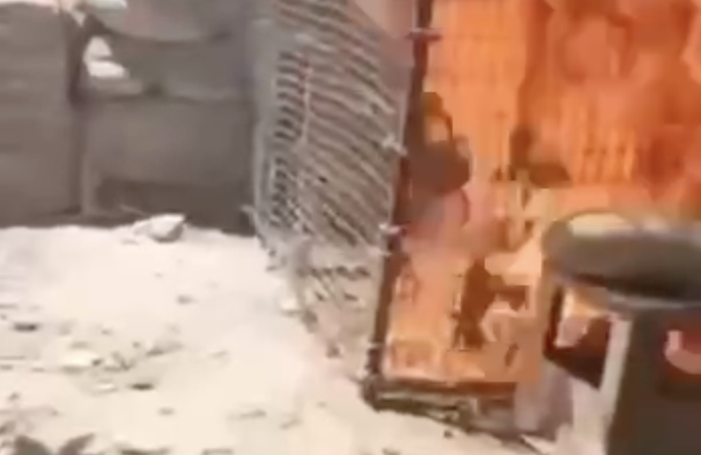 В Фергане живодеры заживо сожгли запертую в клетке кошку (видео 18+)