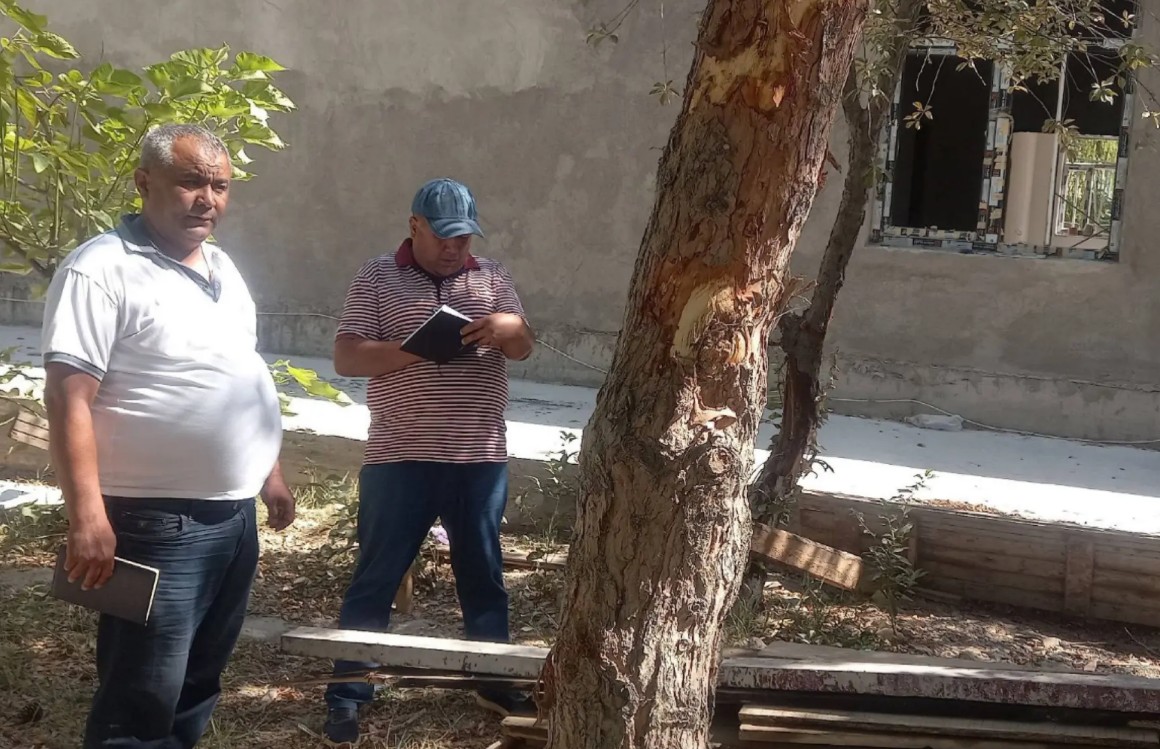 В Бухаре завели уголовное дело против должностных лиц, незаконно пересадивших почти 40 деревьев