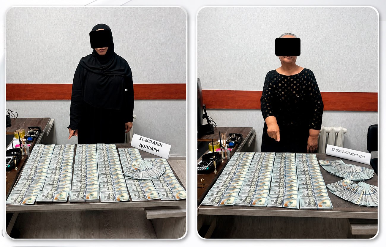 Toshkentda uch nafar xorijlikka viza rasmiylashtirib berish evaziga $31,2 ming olgan shaxslar ushlandi