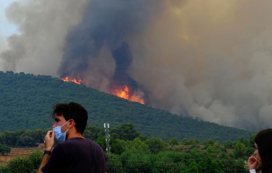 От жары в Испании и Португалии погибли более 1000 человек
