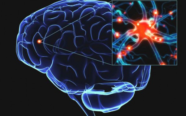 Коронавирус влияет на мозг человека – каким образом?