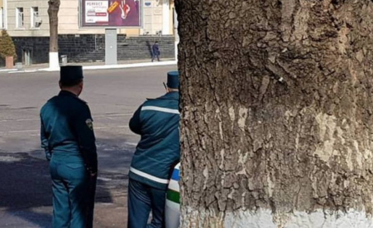 Узбекским гаишникам запретили прятаться за деревьями