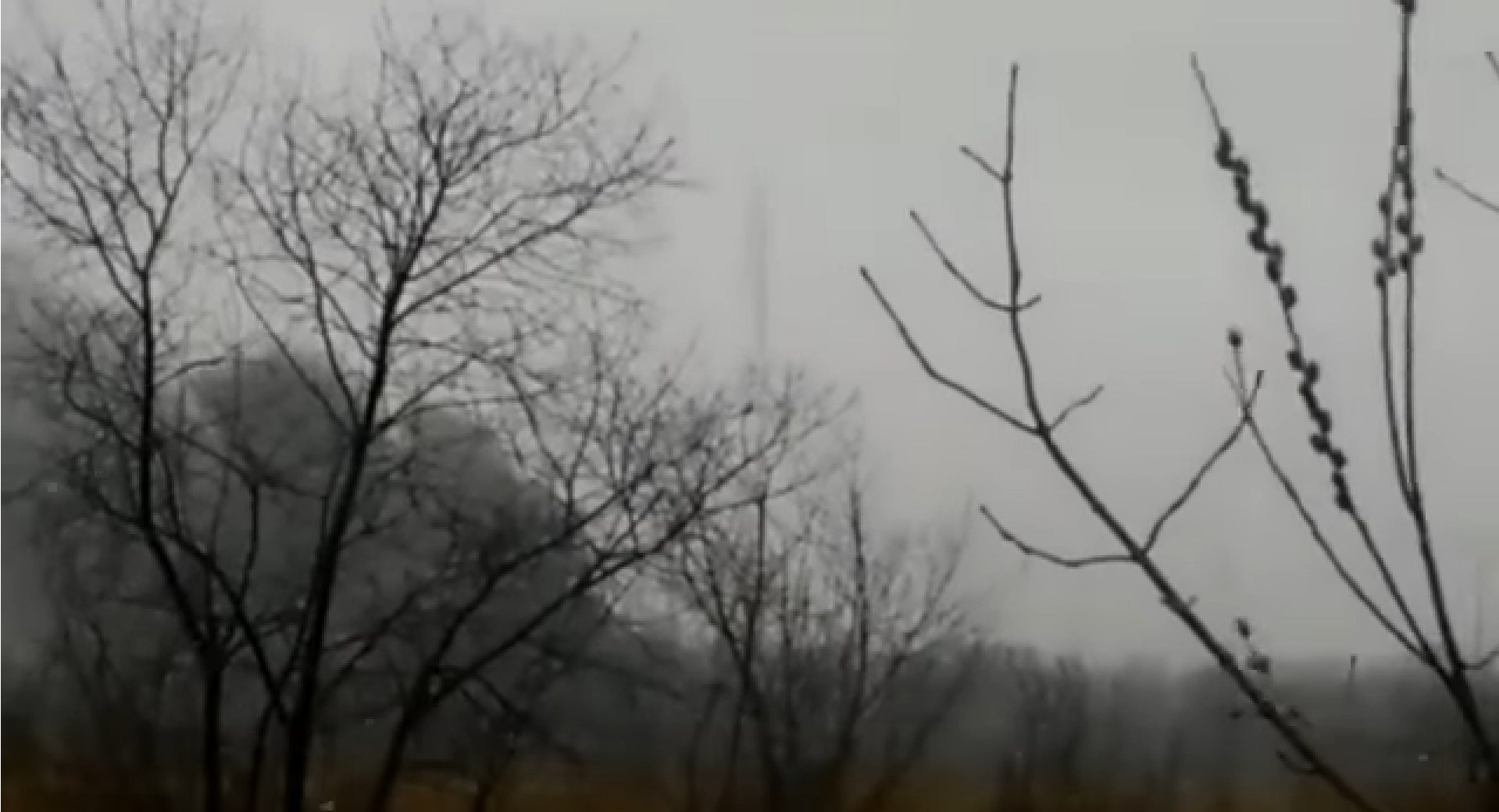 В Хабаровске рухнул вертолет: 6 погибших (видео)