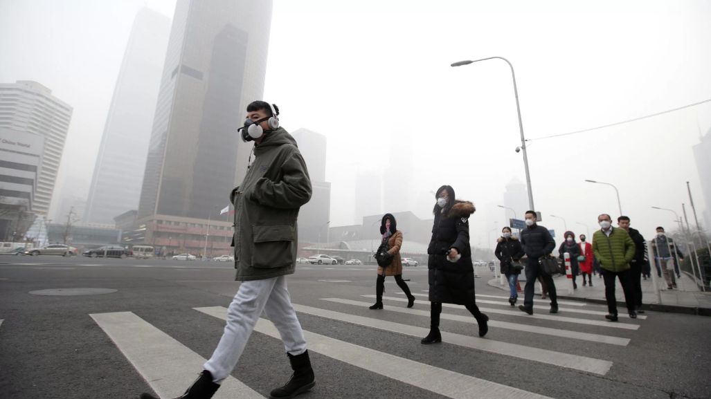 ВОЗ назвала количество смертей от загрязнения воздуха