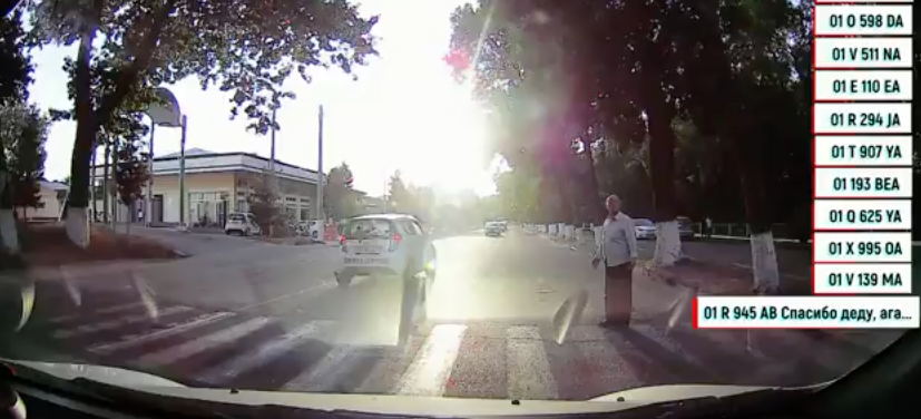 В ГУВД рассказали о наказании группы водителей, не пропустивших пожилого пешехода на зебре (видео)