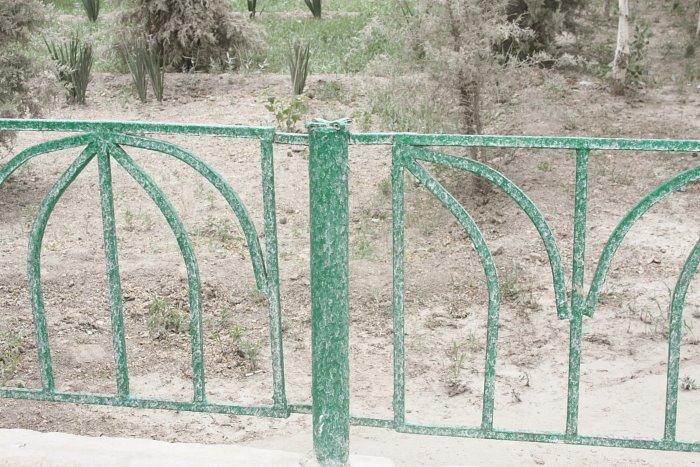 В Каракалпакстане нашли способ спасти почву после соляной бури