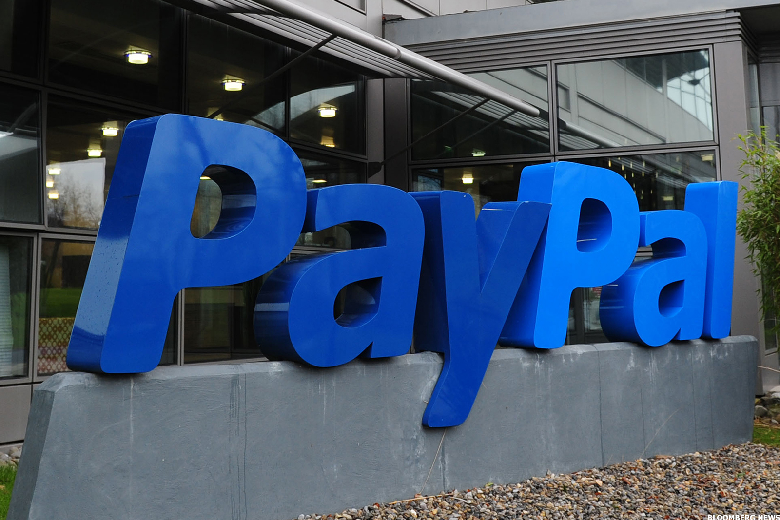 PayPal появится на рынке Узбекистана