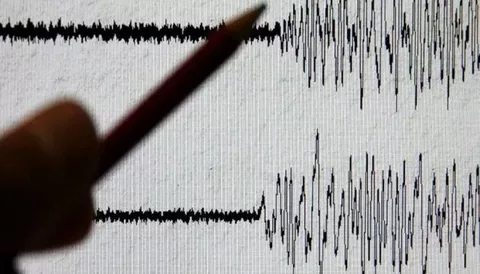 Стало известно число жертв землетрясения в Японии 
