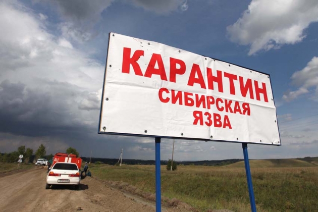 В Киргизии 11 человек госпитализированы с сибирской язвой