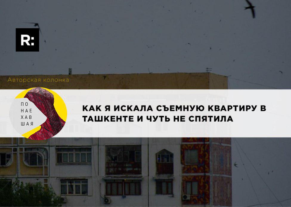 Как я искала съемную квартиру в Ташкенте и чуть не спятила