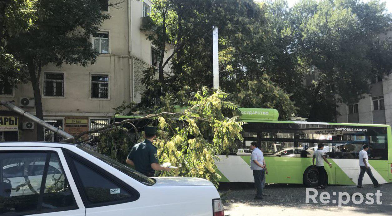 Автобус с пассажирами влетел в дерево по улице Бобура (фото)