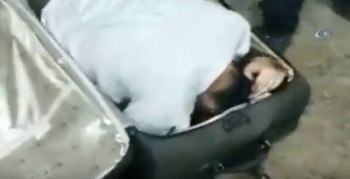 Узбекистанка пыталась провезти себя в чемодане и попалась (видео)