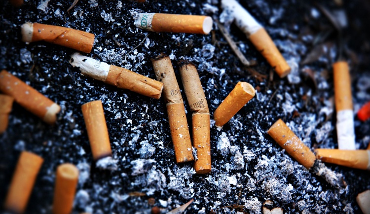 Подсчитано число окурков, выбрасываемых курильщиками за год