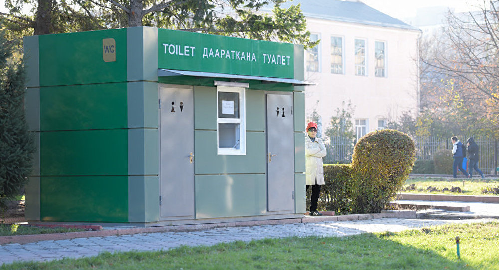 Госкомтуризм нашел способ стимулировать бизнесменов строить туалеты