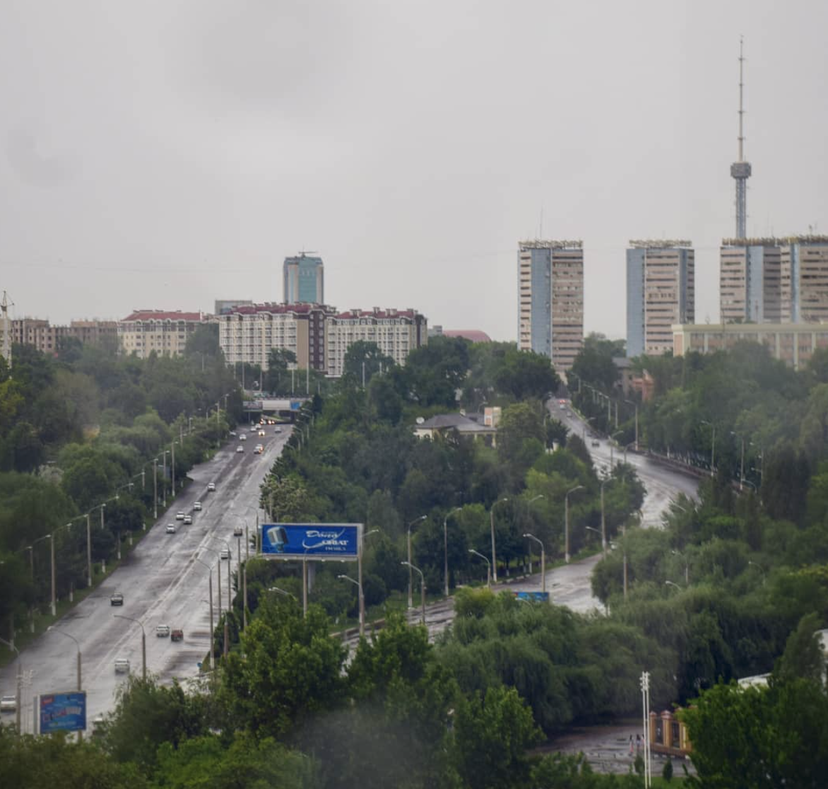 Ташкентцев ждет дождь среди недели