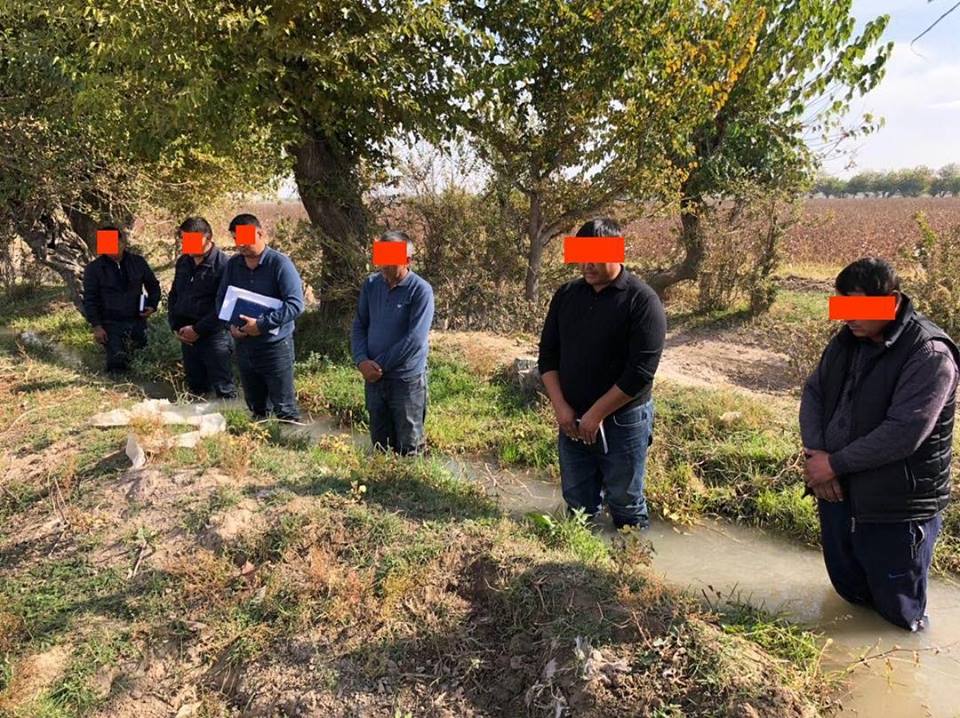 СМИ выяснили подробности истории с шестью мужчинами в арыке на хлопковом поле 