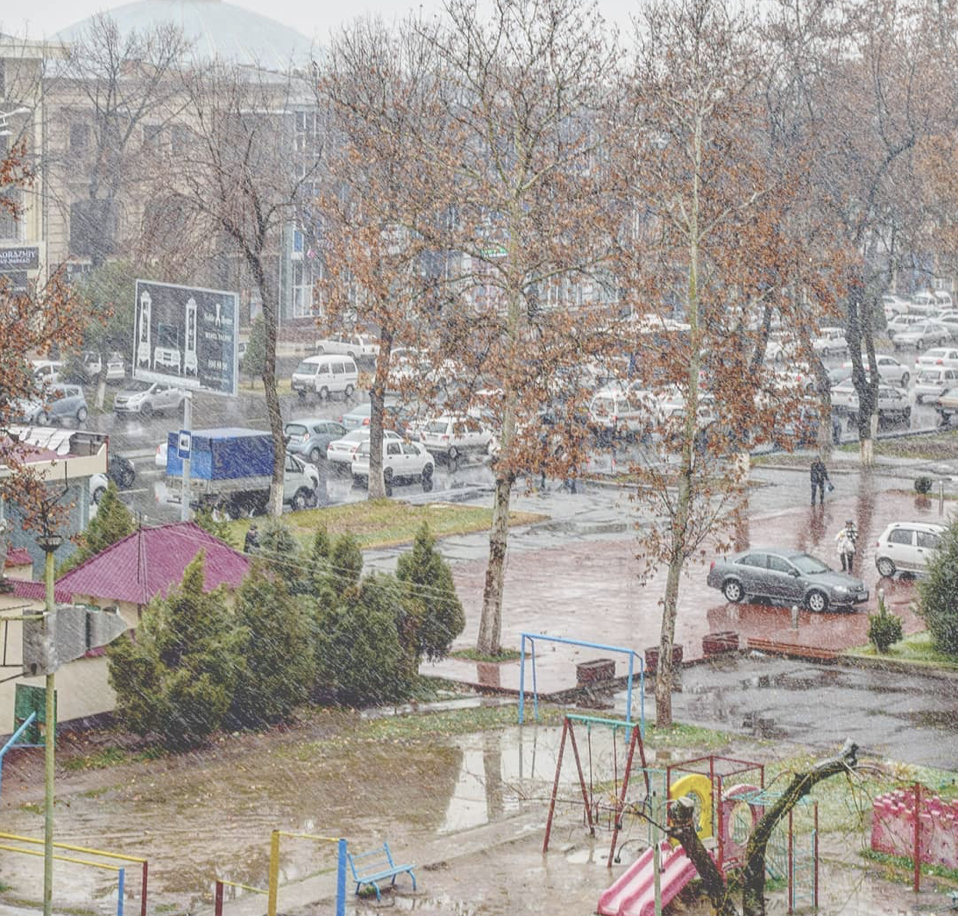 Узбекистанцев ждут дожди и плюсовая температура