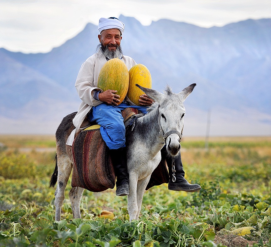 Узбекистан попал на кадры National Geographic (фотоподборка)