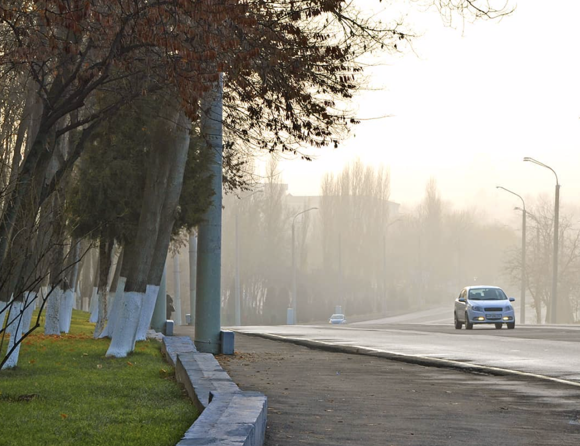 Ташкентцев ждет зимнее потепление