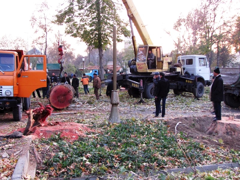 Три сотни деревьев не устояли перед строящимся спорткомплексом в Паркенте
