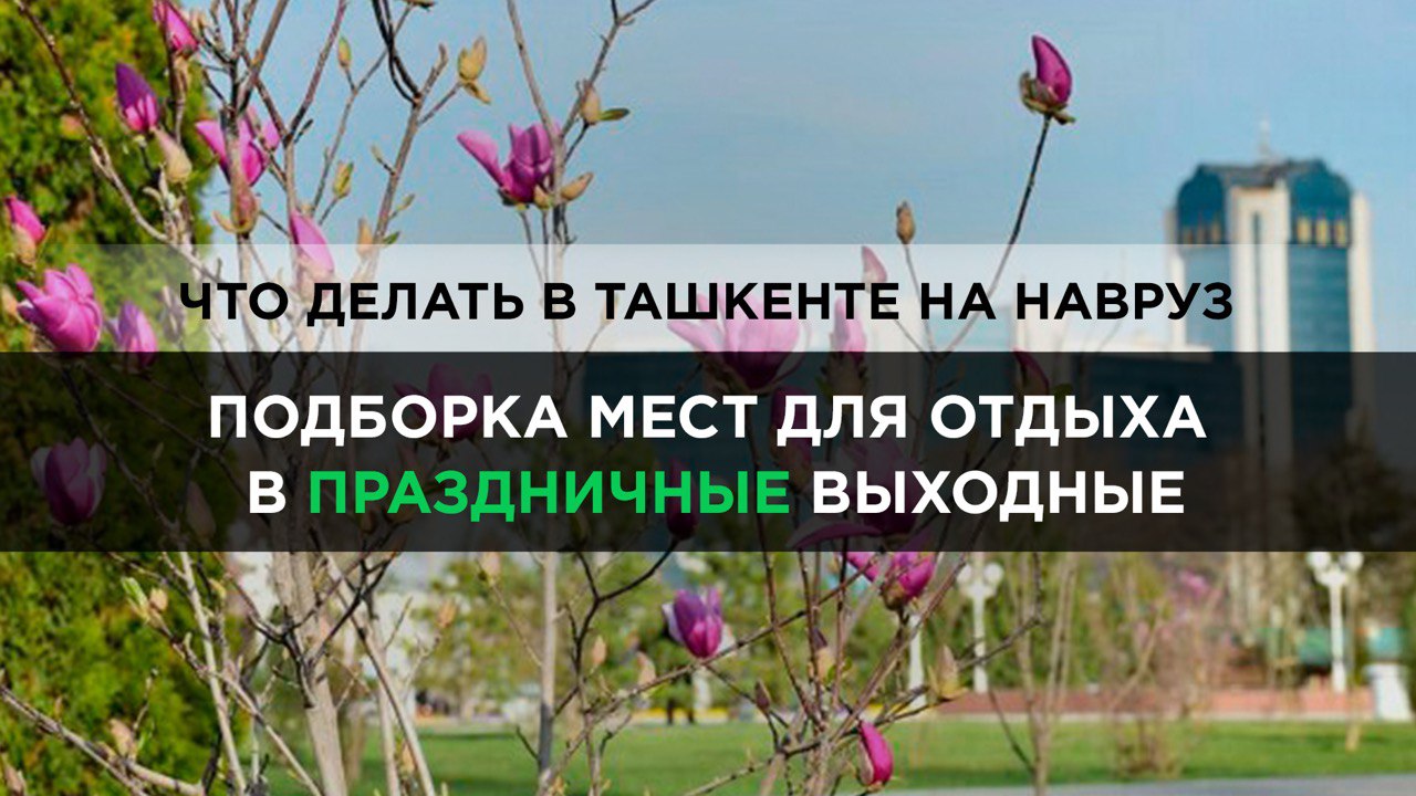 Как отметить Навруз: 7 способов провести праздничные выходные в Ташкенте