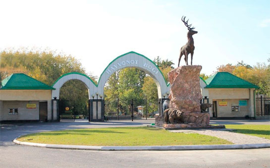 Специалисты из ОАЭ помогут реконструировать Ташкентский зоопарк
