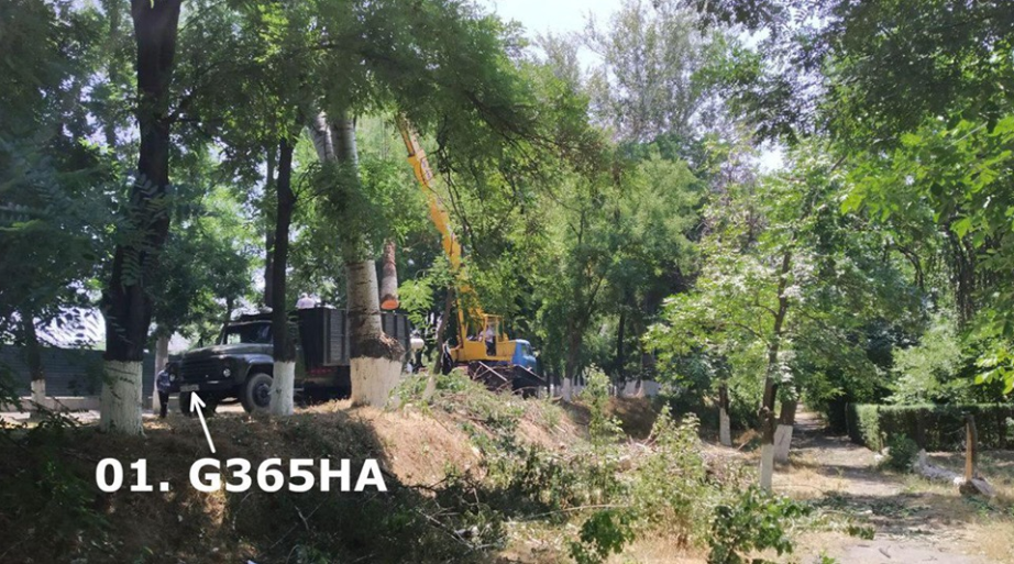 В Юнусабадском районе хокимият решил проблему с незаконной вырубкой деревьев