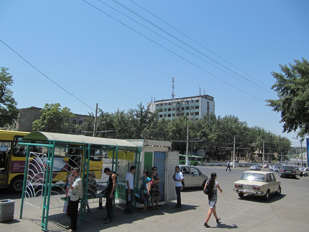 Пьяная девушка насмерть сбила парня на пешеходном переходе в Ташкенте