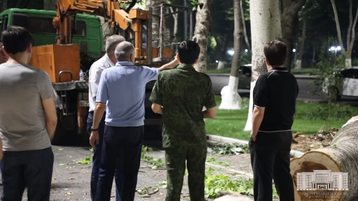 Хоким Ташкента остановил незаконную вырубку деревьев