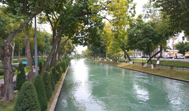 В Ташкенте пьяный мужчина случайно утонул в канале 