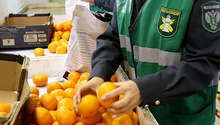 Россия ужесточит правила ввоза фруктов и овощей через границу