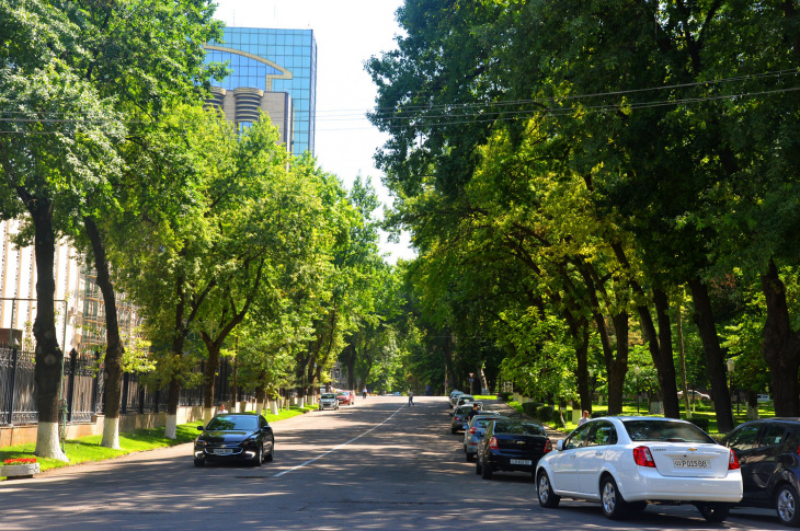 В Ташкенте временно закроют ряд улиц